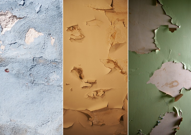 Bao Lâu Sau Khi Xử Lý Có Thể Sơn