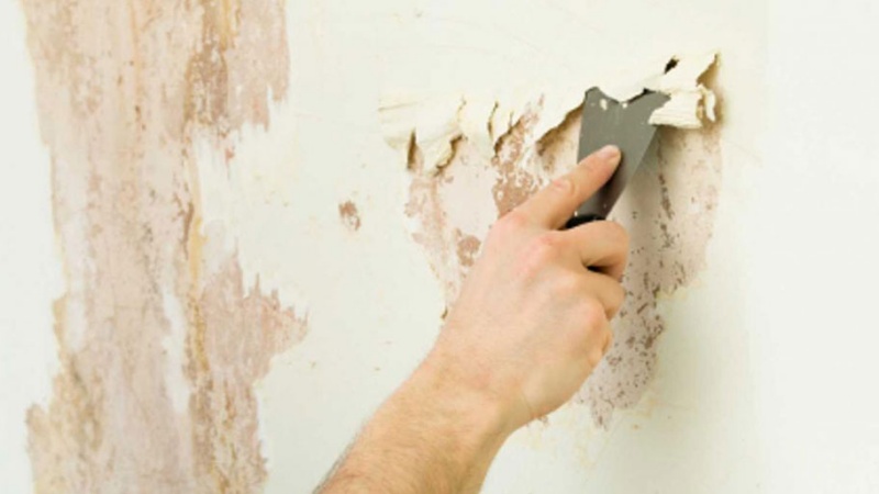Cách Xử Lý Tường Ẩm Mốc Trước Khi Sơn Đúng Kỹ Thuật, Không Tái Phát
