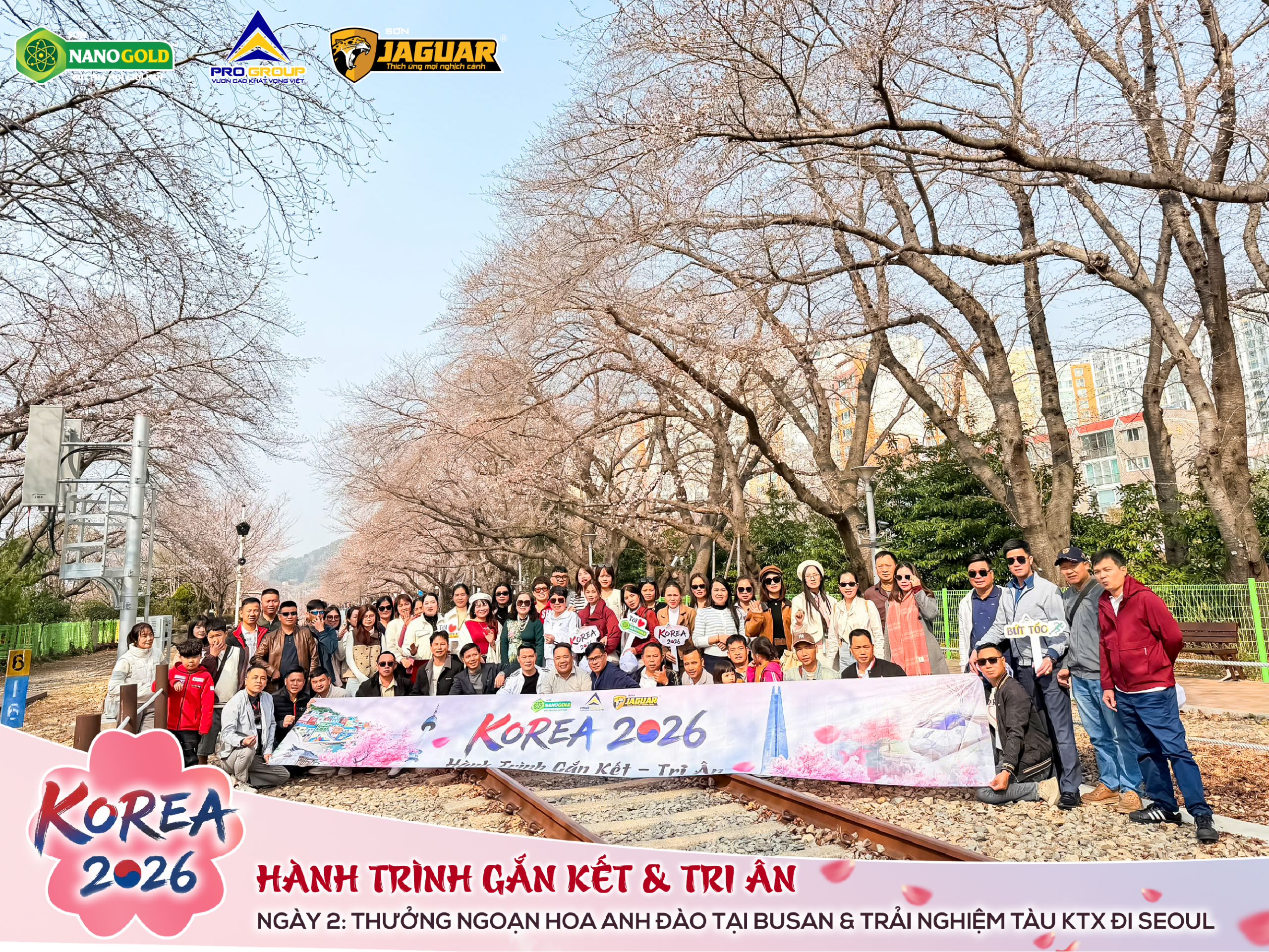 🌸 KOREA 2026 | GẮN KẾT & TRI ÂN NGÀY 2: THƯỞNG NGOẠN HOA ANH ĐÀO TẠI BUSAN & TRẢI NGHIỆM TÀU KTX ĐI SEOUL 🚄